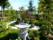 349  Kawaguchi City garden.JPG